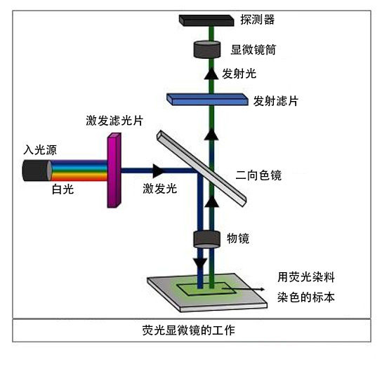 ABUIABACGAAg9cjmsQYohJ-yjwYwqgQ4mAQ